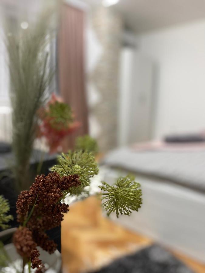 Apartman Bonaca Nisz Zewnętrze zdjęcie