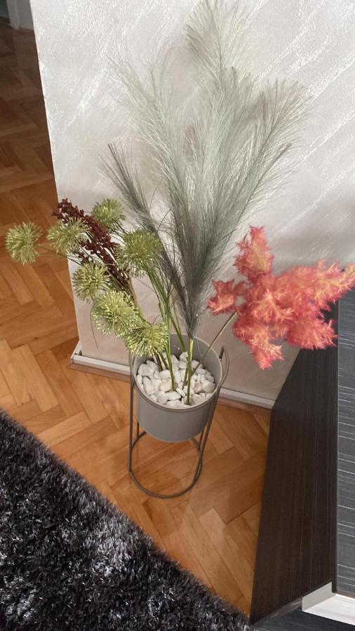 Apartman Bonaca Nisz Zewnętrze zdjęcie